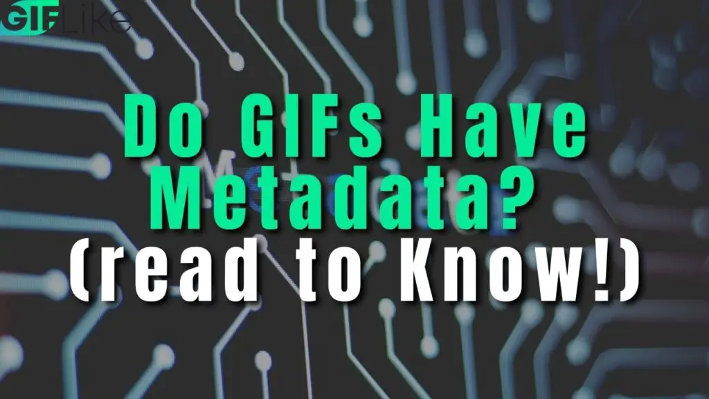 do-gifs-have-metadata-read-to-know-gif-like