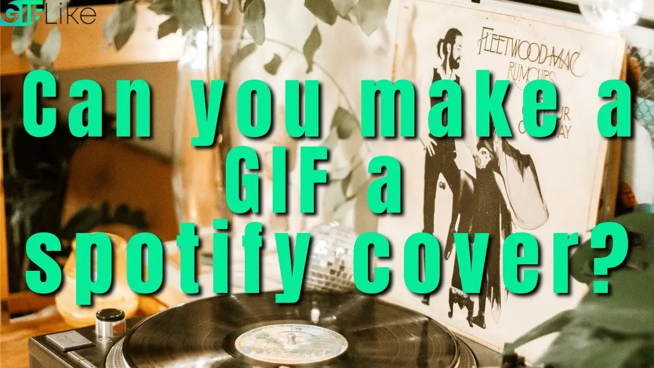 can-you-make-a-gif-a-spotify-cover-if-yes-how-to-gif-like