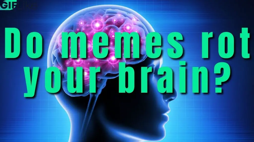 Do Memes Rot Your Brain?