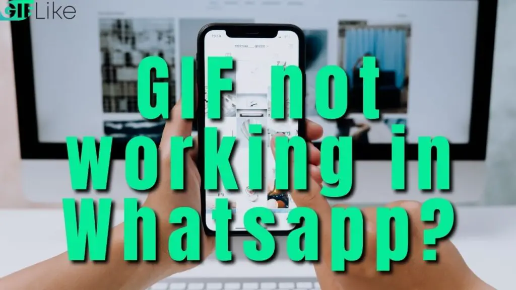 gif-not-working-on-whatsapp-here-are-some-quick-fixes-gif-like