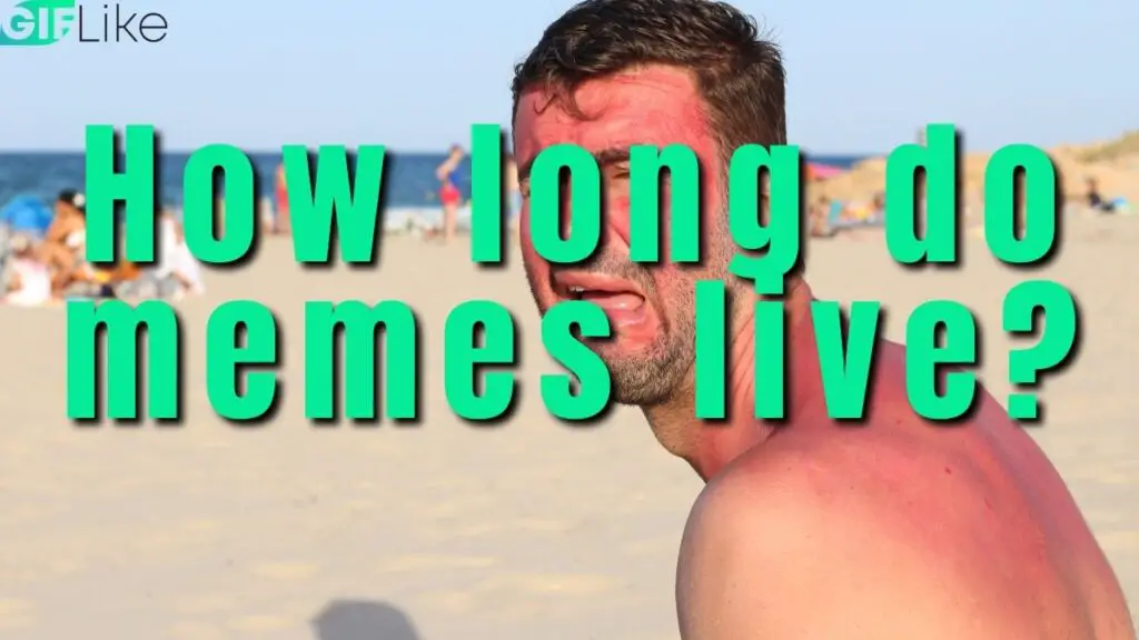 How Long Do Memes Live?