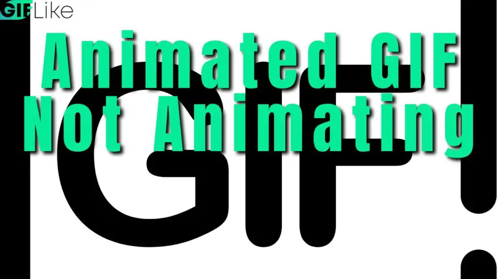 Animated GIF Not Animating