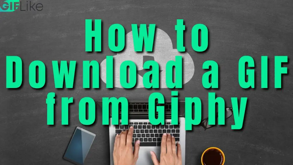 How to Download a GIF from Giphy