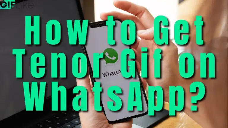 how-to-get-tenor-gif-on-whatsapp-all-you-need-to-know-gif-like