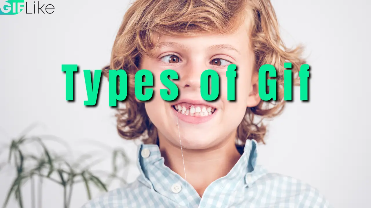 Types of Gif